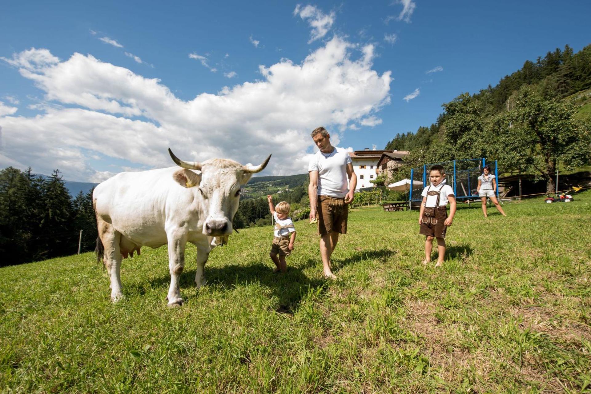 App Ringelblume Biohof Unterspisser