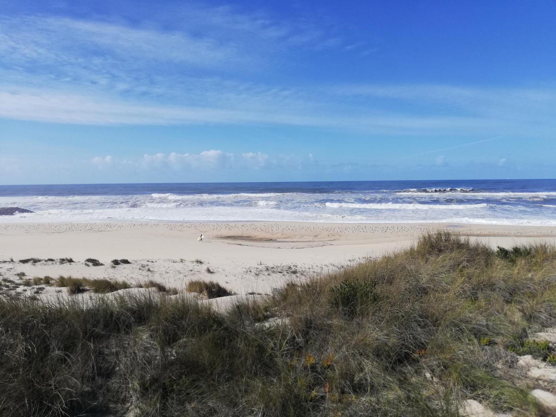 O VIOLAS - Art Coffee & Guesthouse