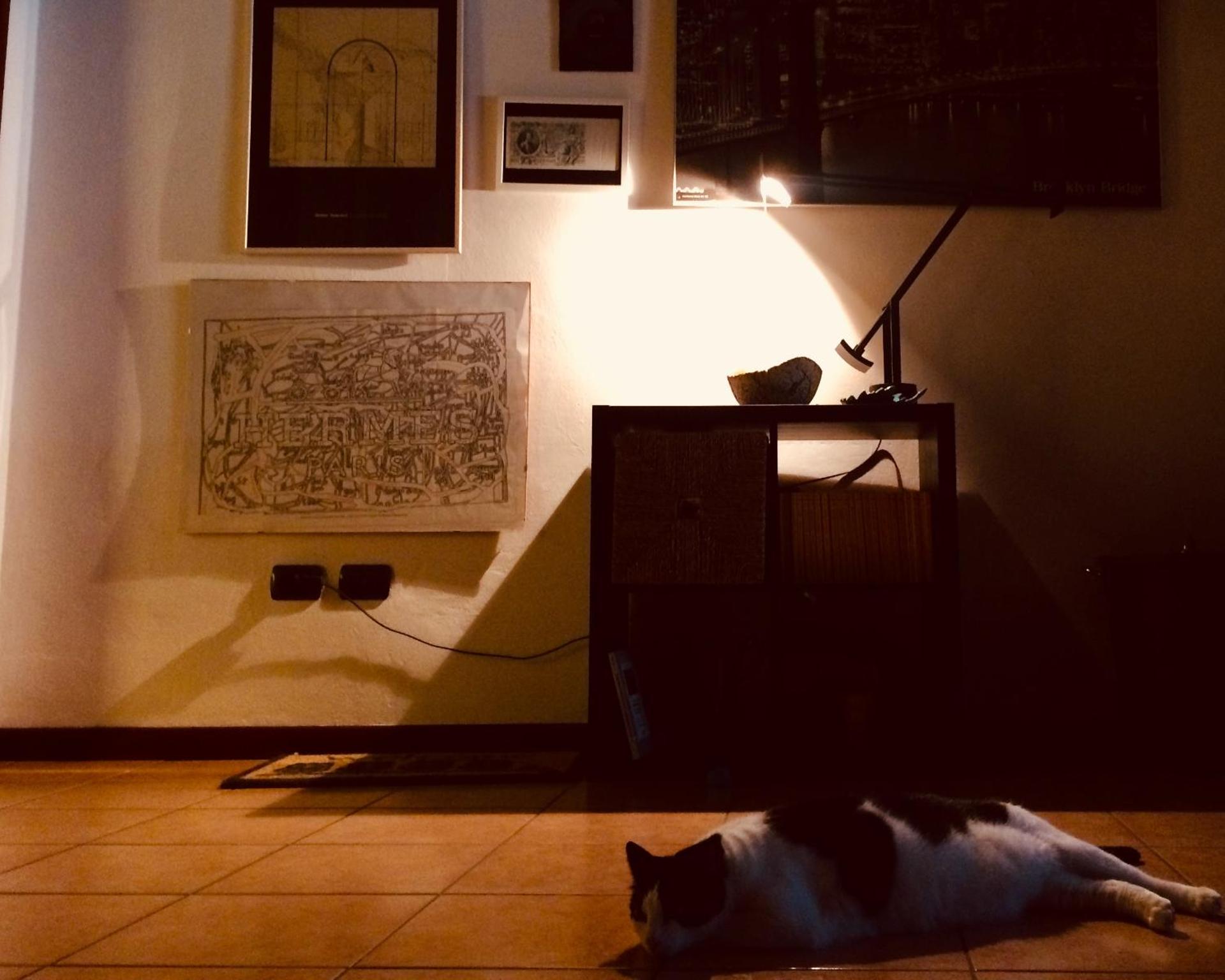 Communal lounge/ TV room