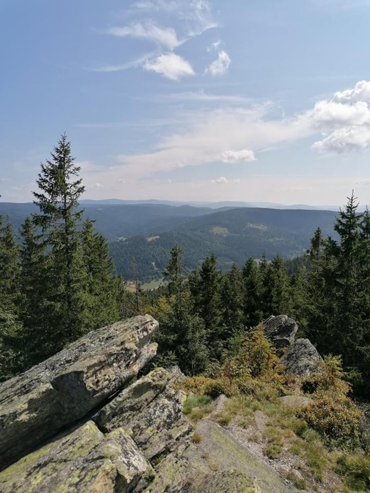 Apartament BOHO DOM Stronie Śląskie