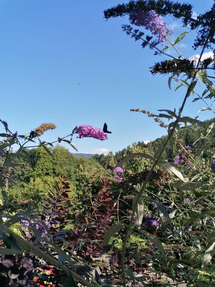 Apartament BOHO DOM Stronie Śląskie