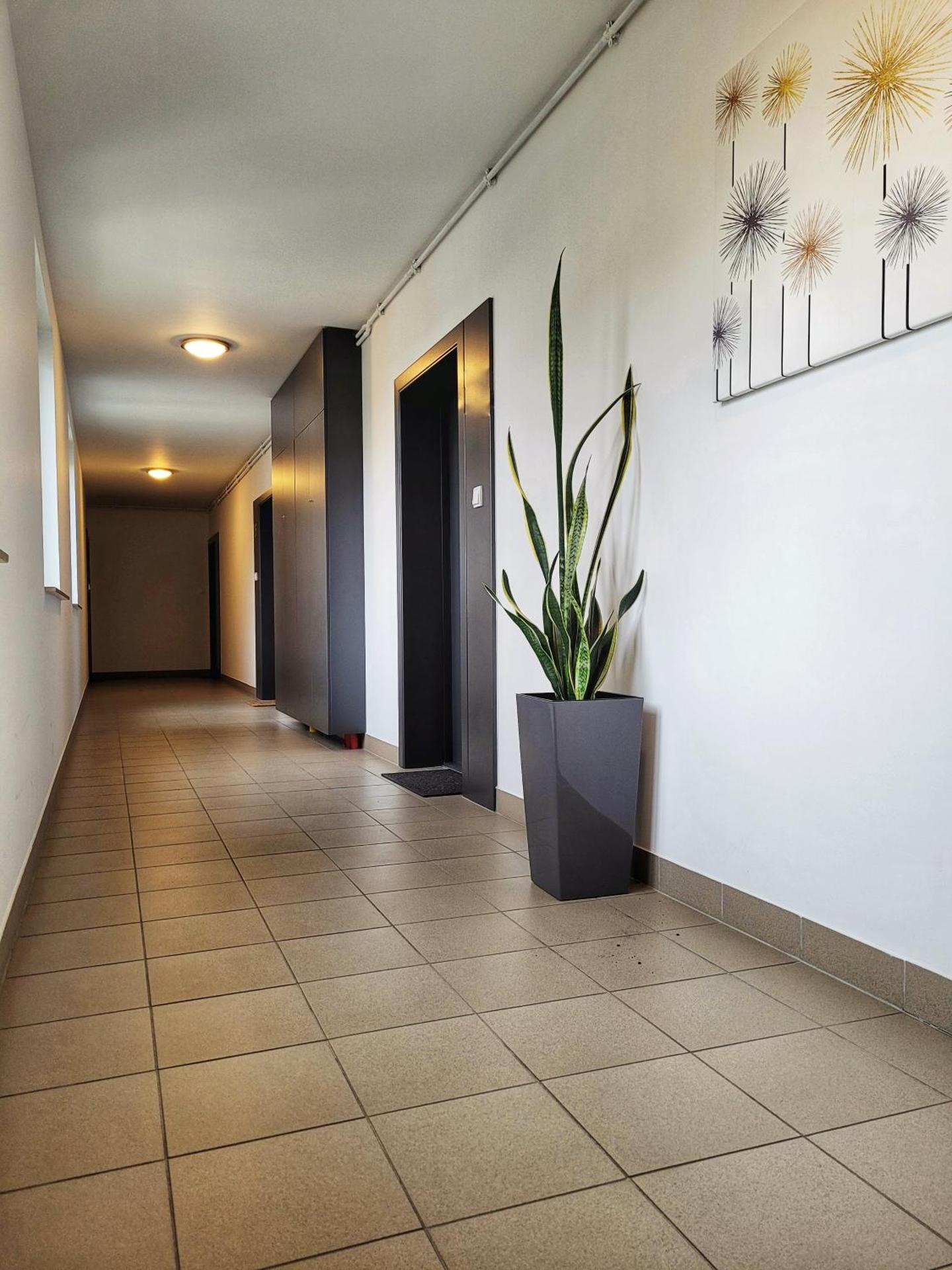 TK Apartments Namysłów