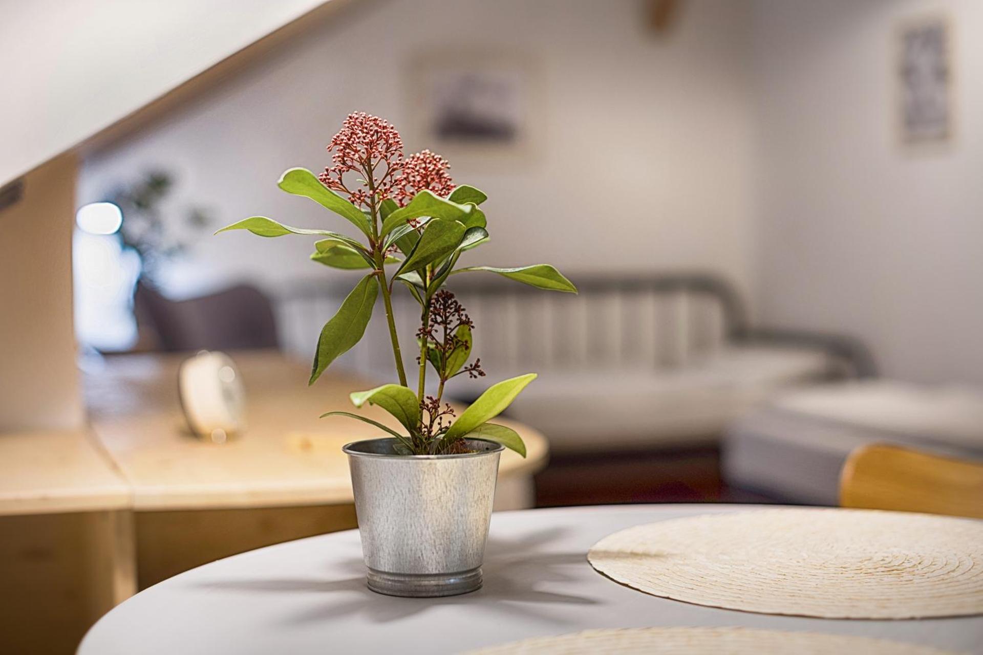 Apartmány v domečku