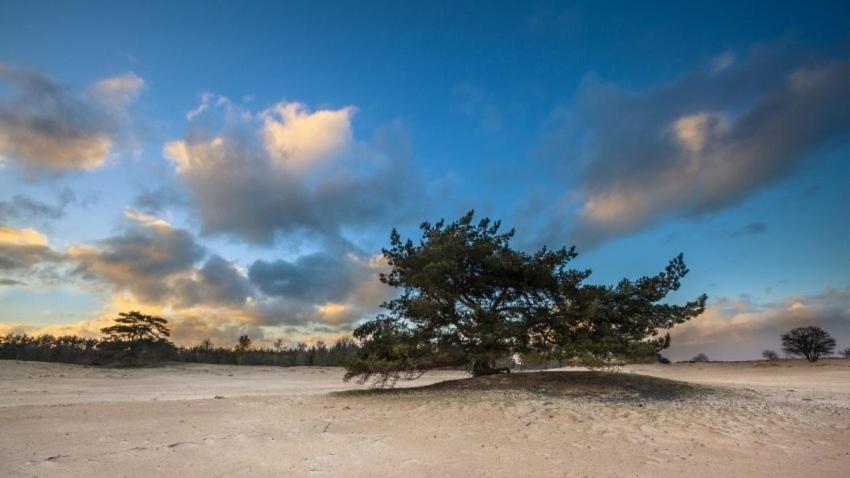 Vakantieverhuur Bienvenue