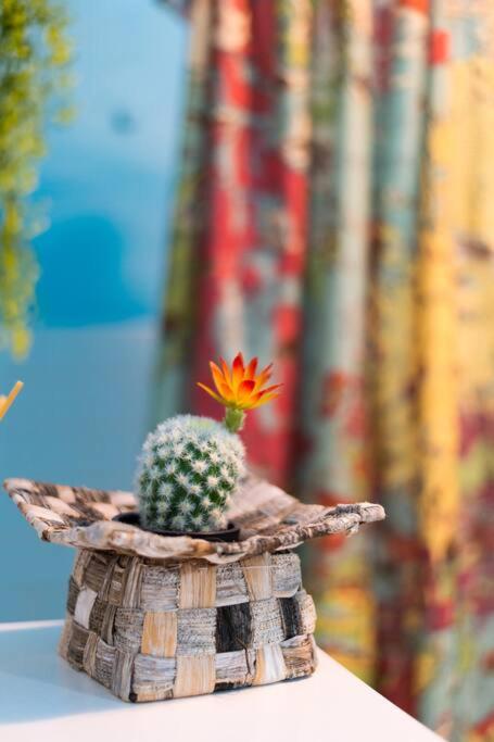 Le Finestre sul Mare