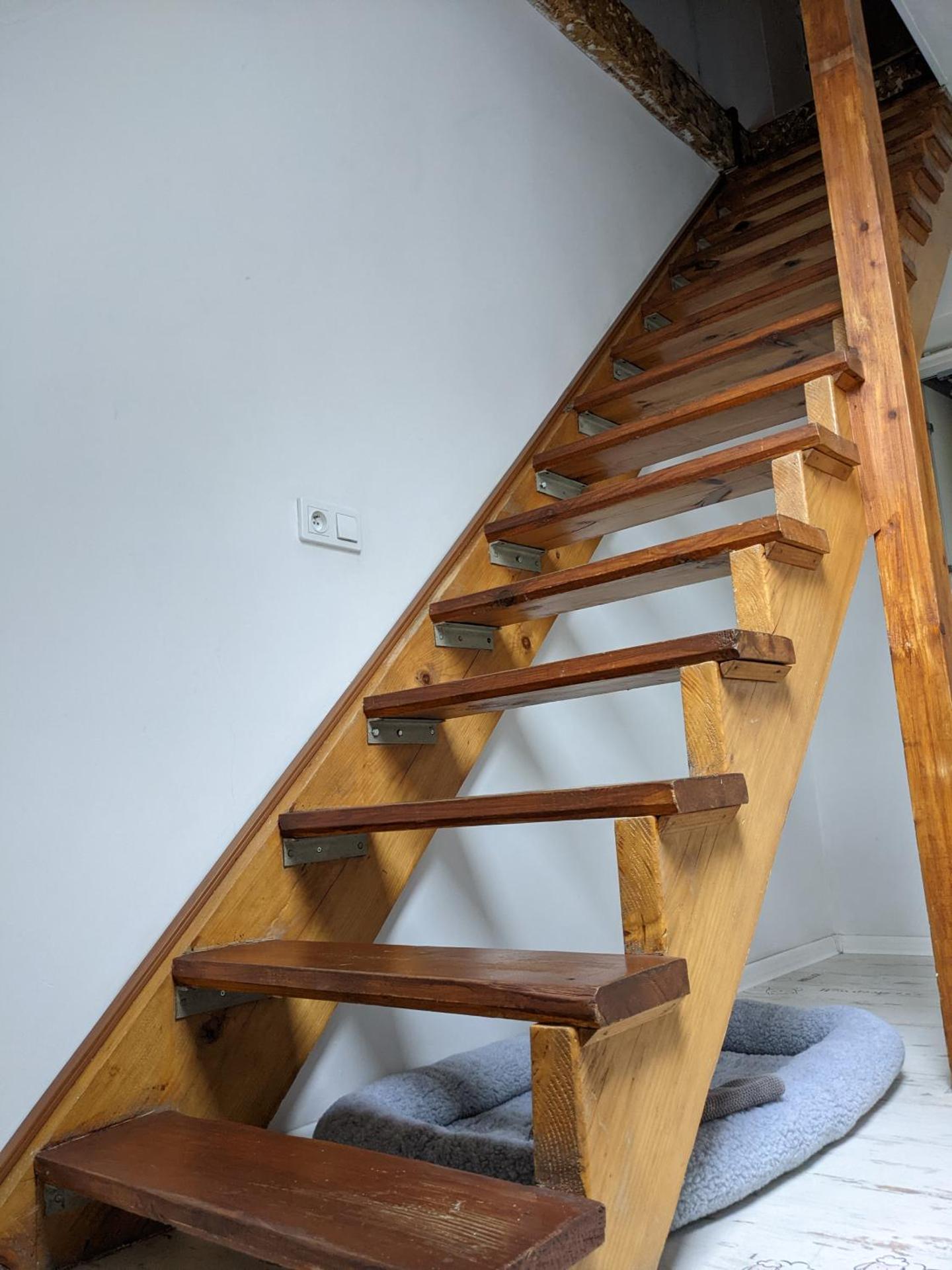 Apartament Lux-centrum