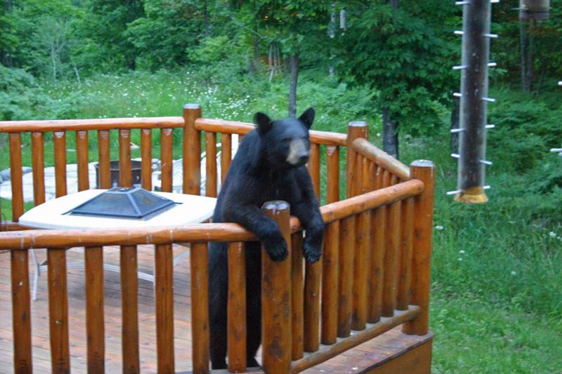 Queen Room with Spa Bath