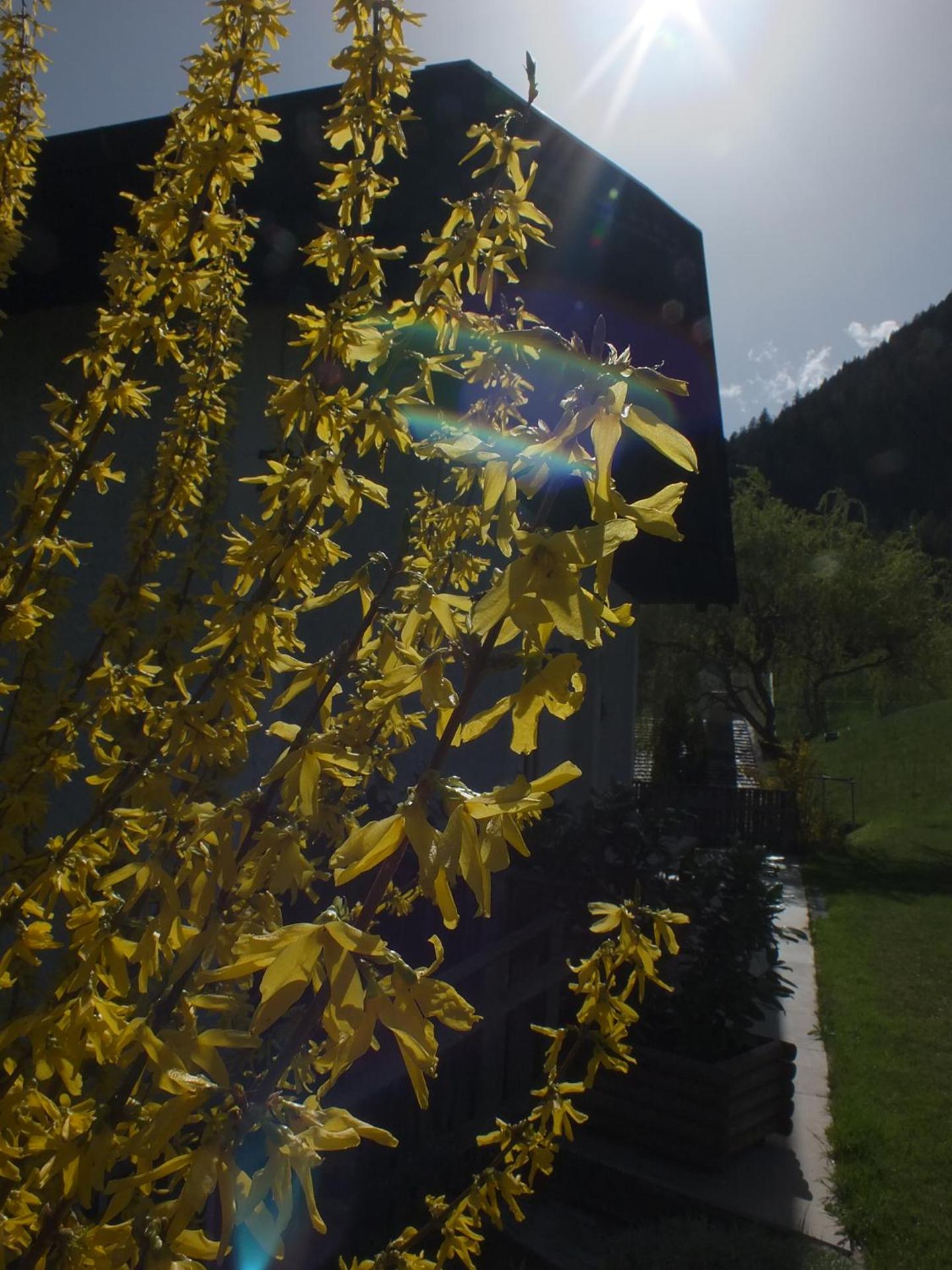 Obergereuth Hof 2021