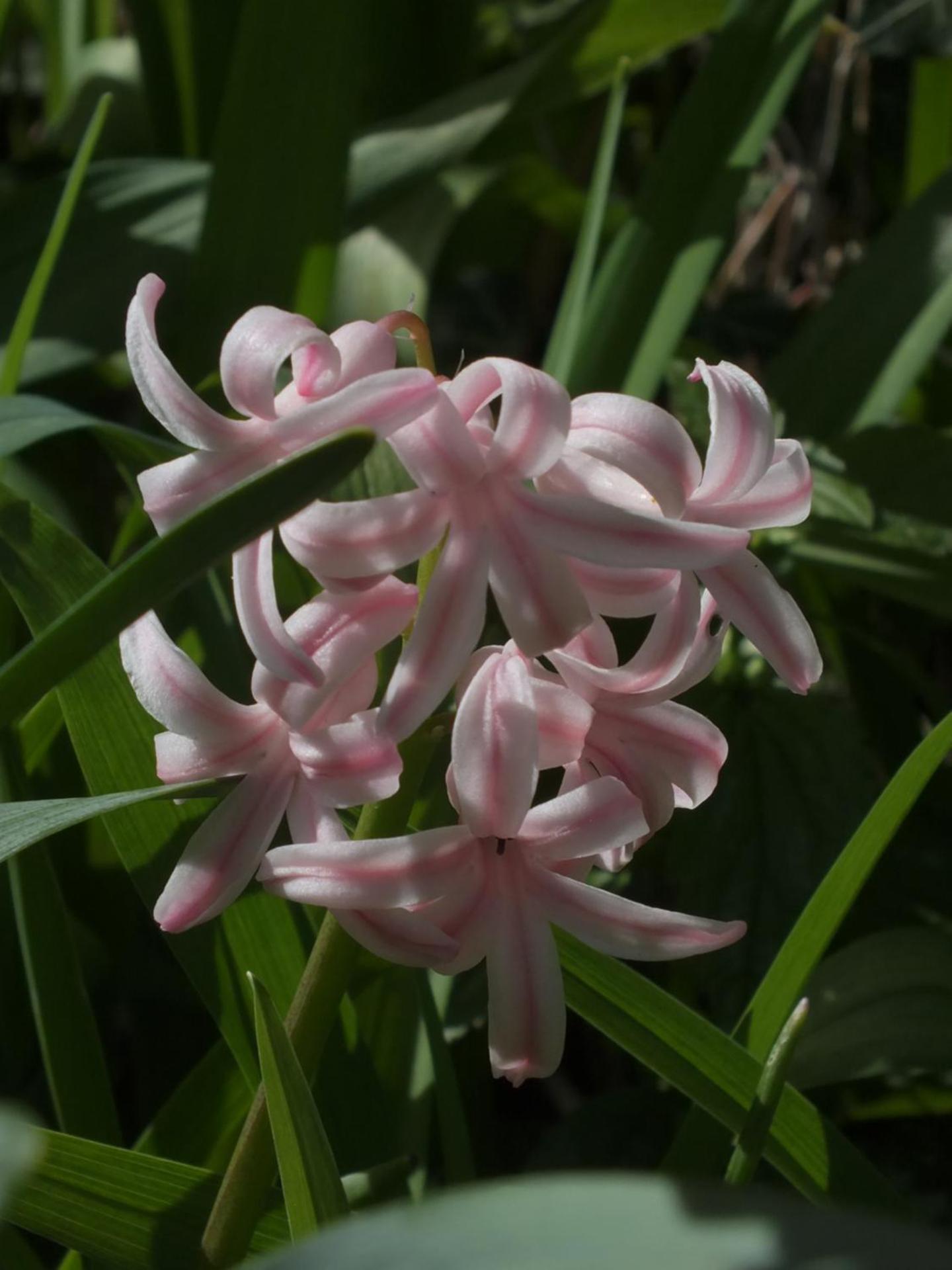 Obergereuth Hof 2021