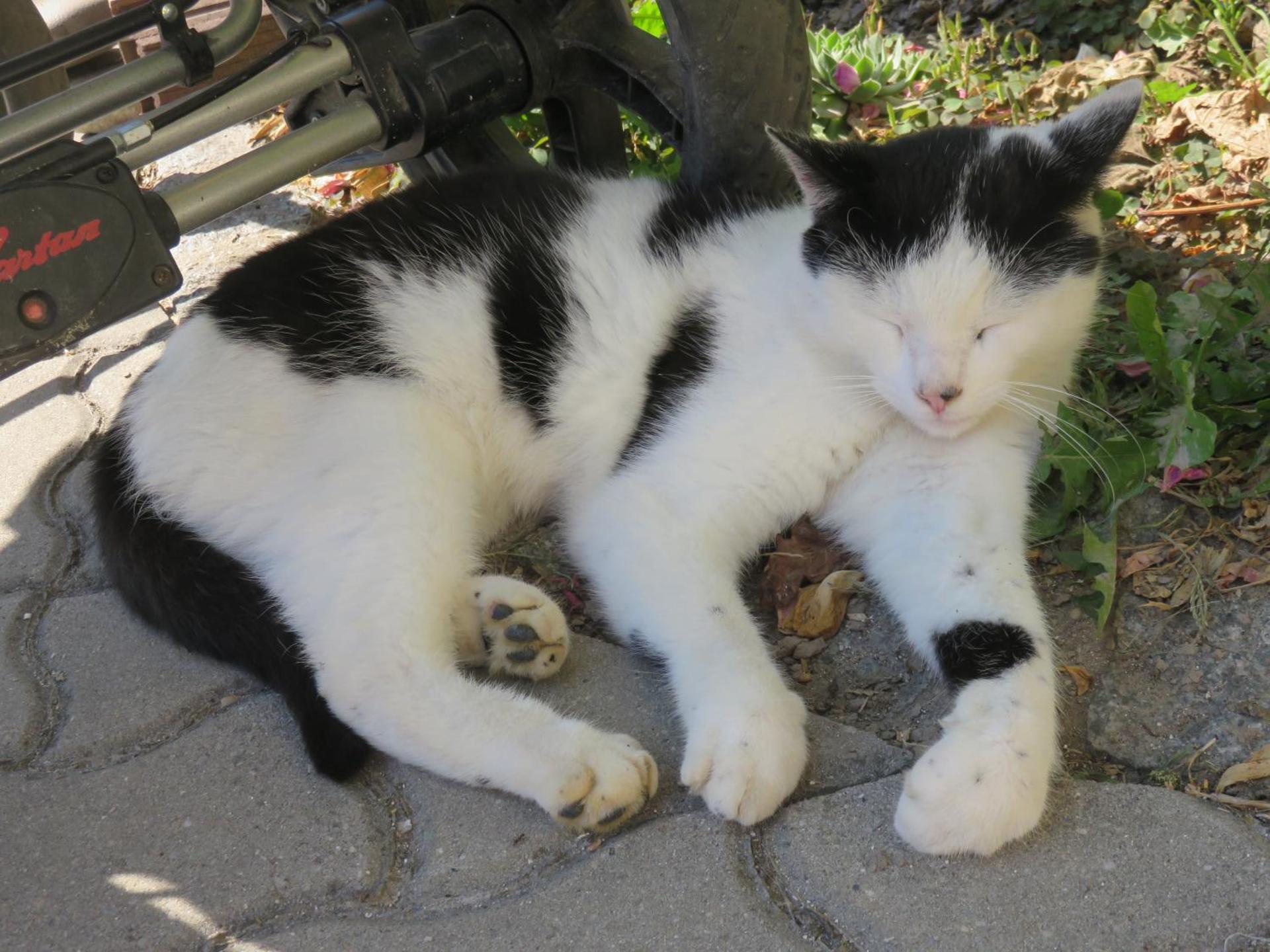 Stadel Hof Altötting