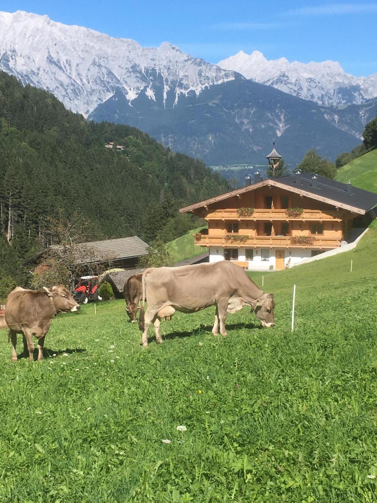 Alpen-Appartement Auerhof