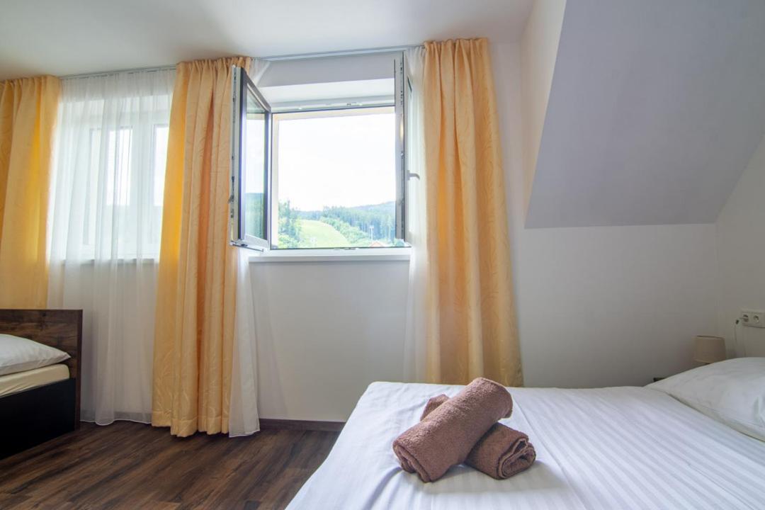 HP APARTMÁNY SKIAREÁL- Buková Hora v Orlických horách 100 m od lanovky