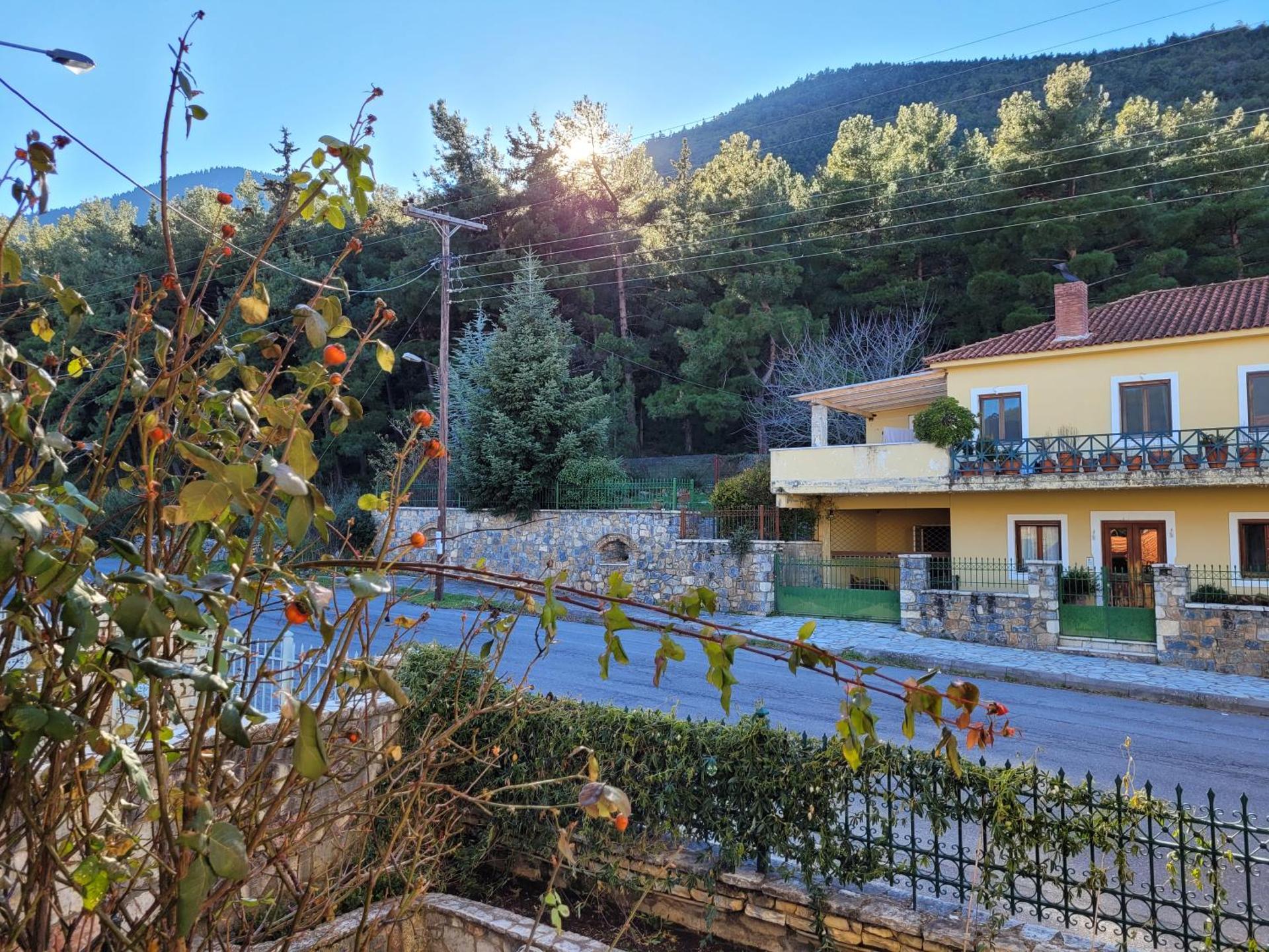 View (from property/room)