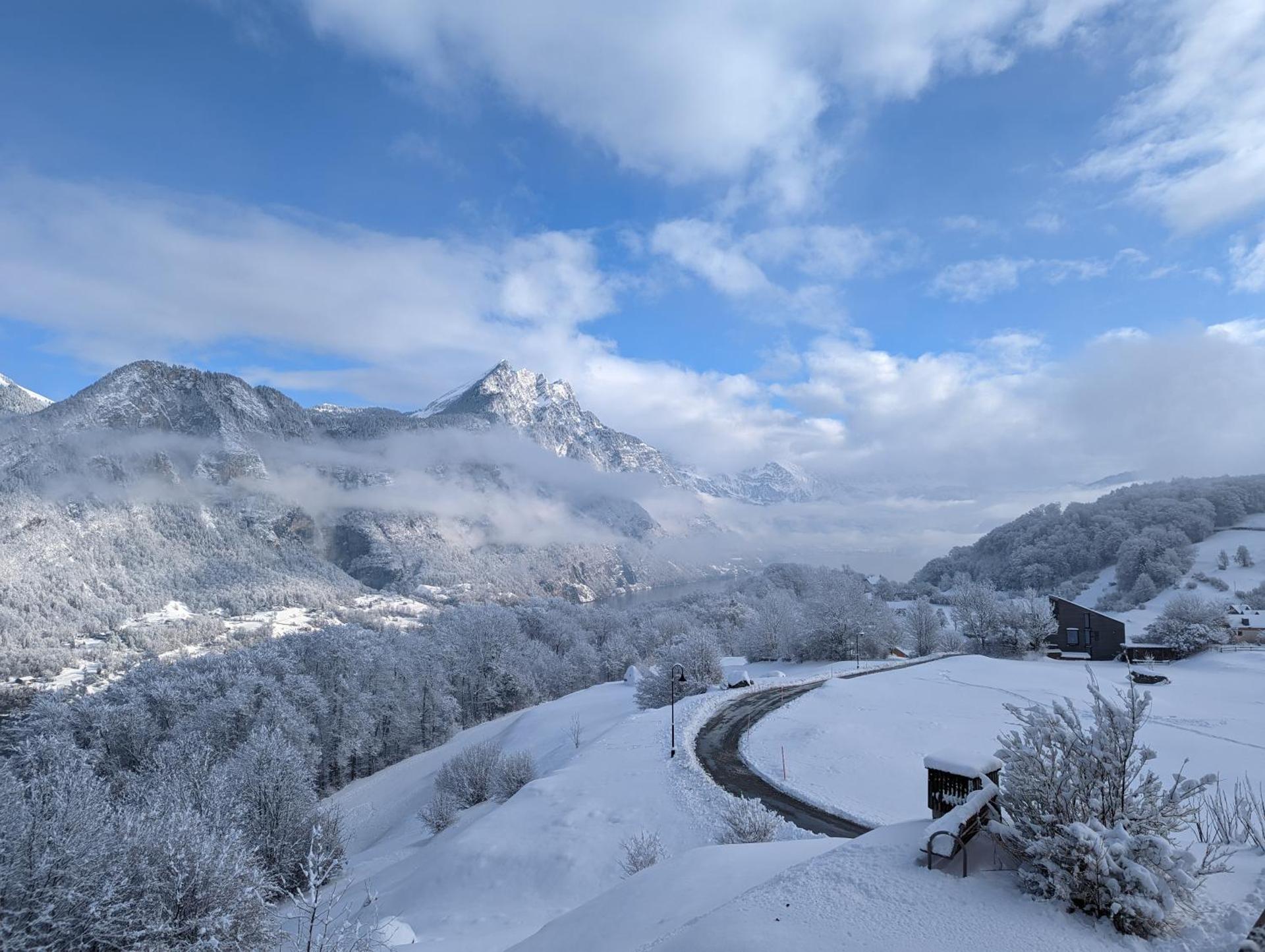 View (from property/room)