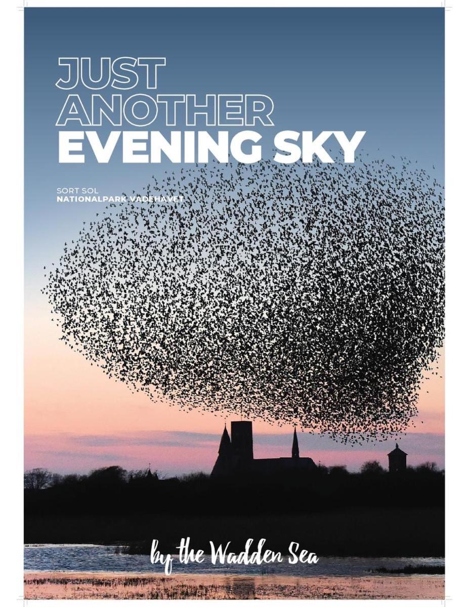 Ribe Sønderport Bed & Kitchen