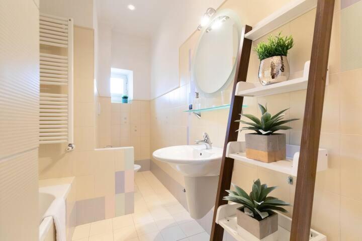 Elegant Aparment Vittorio City Center