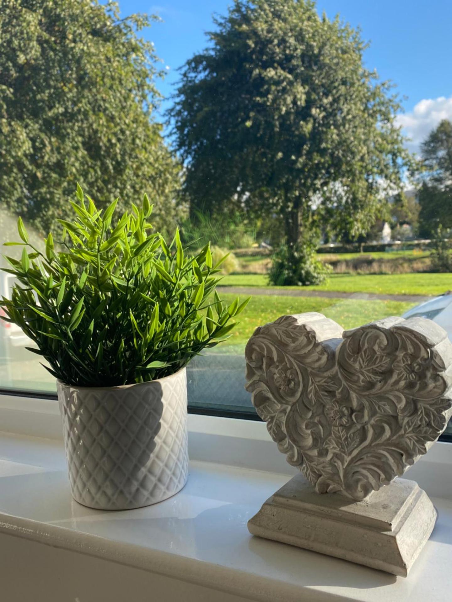 Tweed Green Holiday let