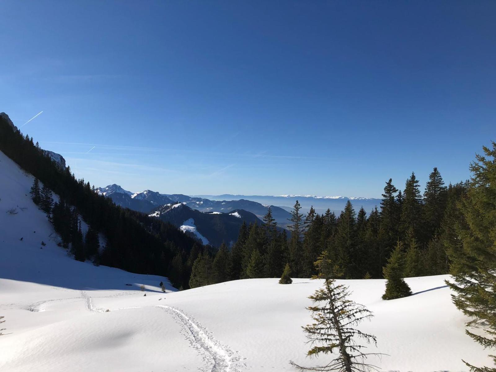 Studio Fondue chocolat, 100m des pistes Wifi fibre, parking privé