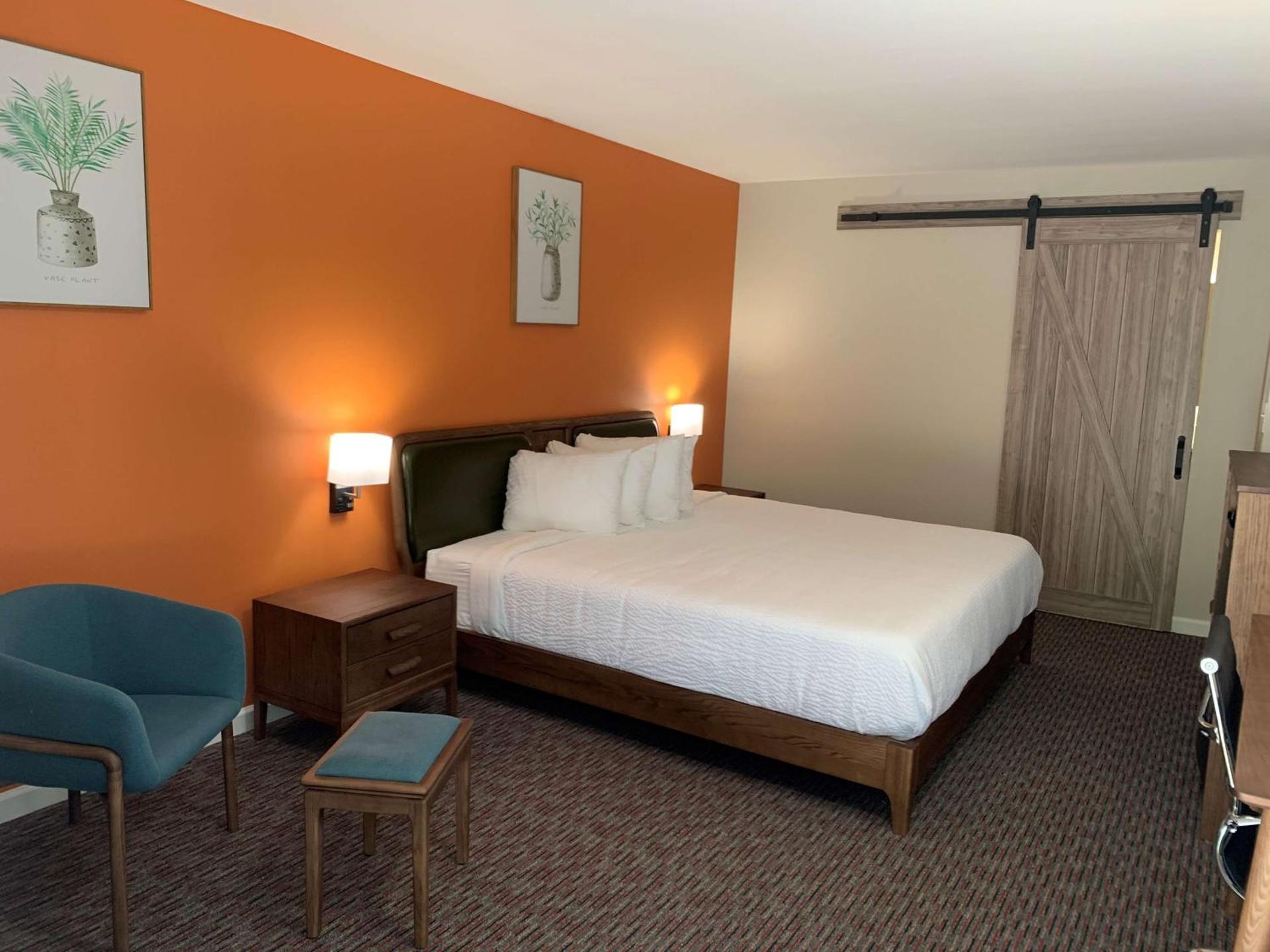 Photo of the whole room