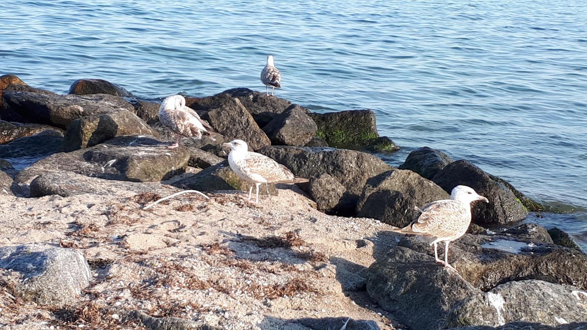 Ferienwohnung im Zentrum
