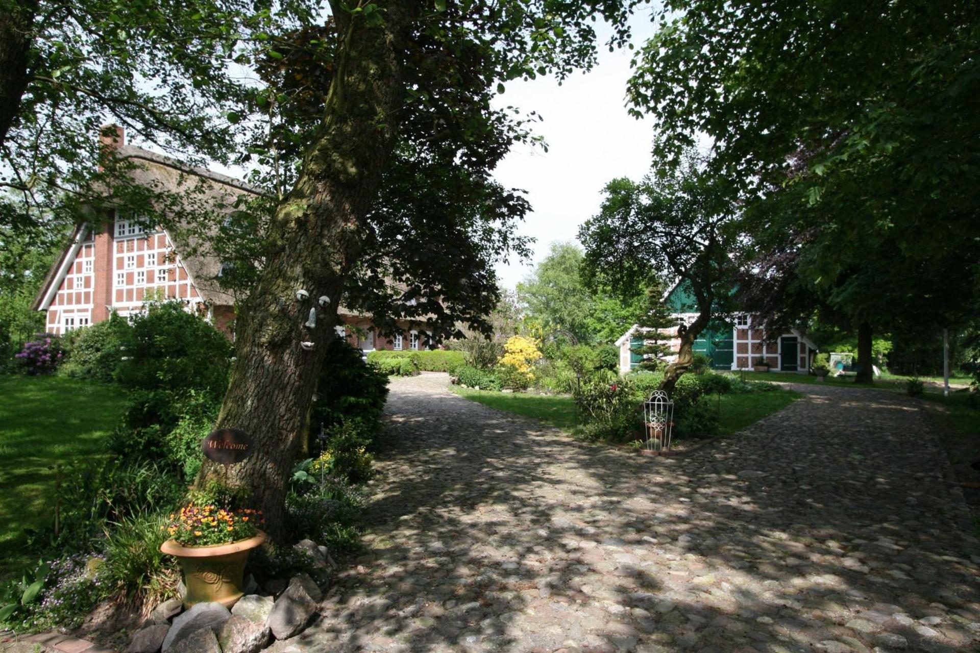 Erlenhof-Steinau-Fachwerkhaus-mit-Reetdach