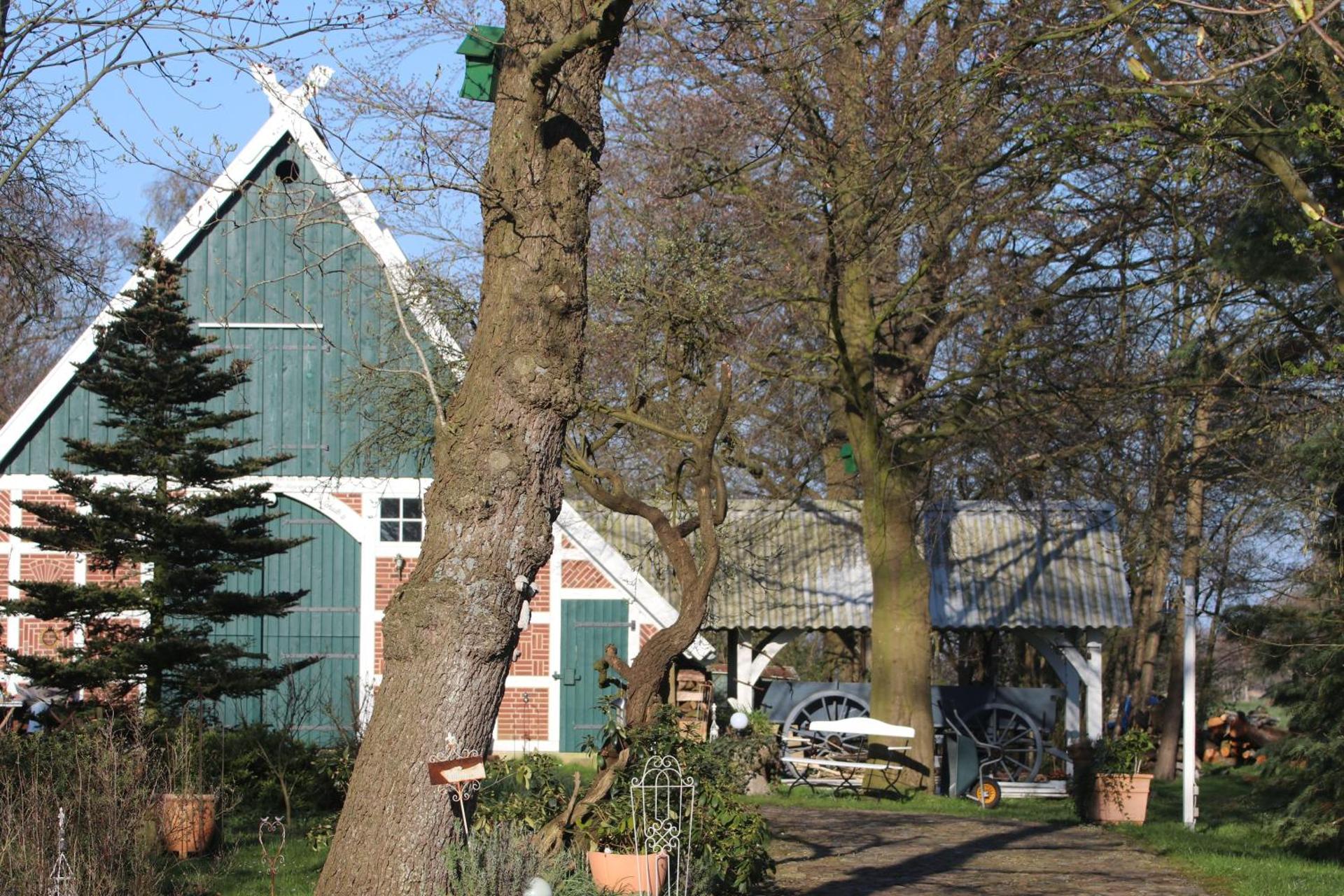 Erlenhof-Steinau-Fachwerkhaus-mit-Reetdach