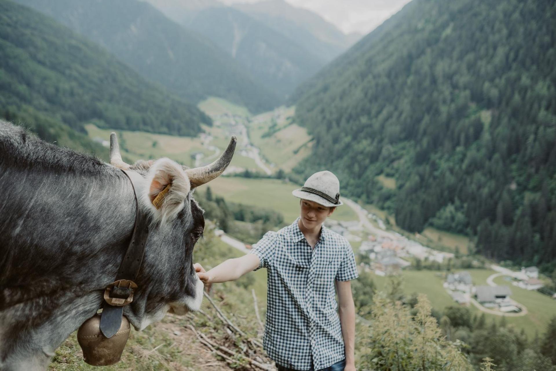 Gogererhof App Maria