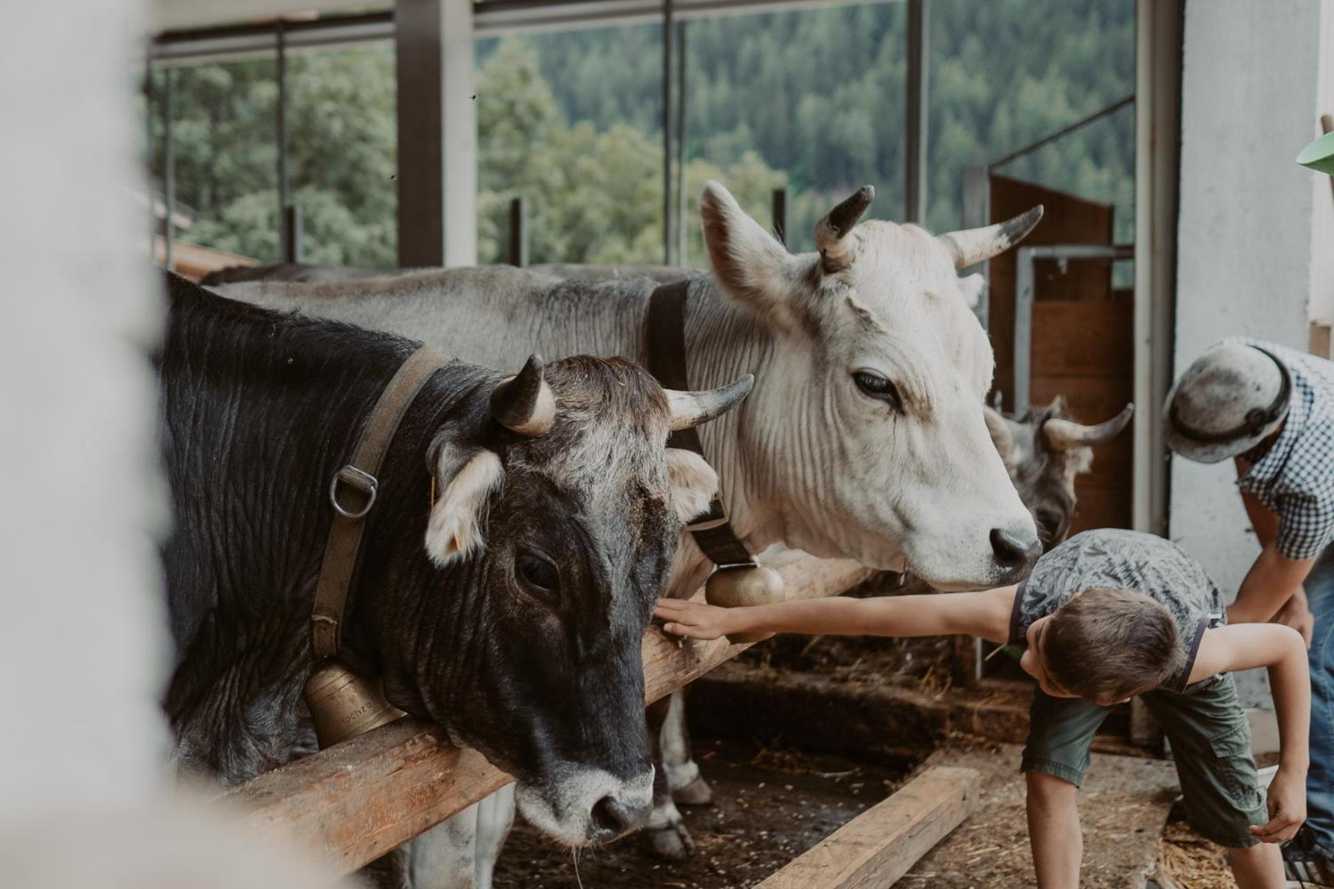 Gogererhof App Maria