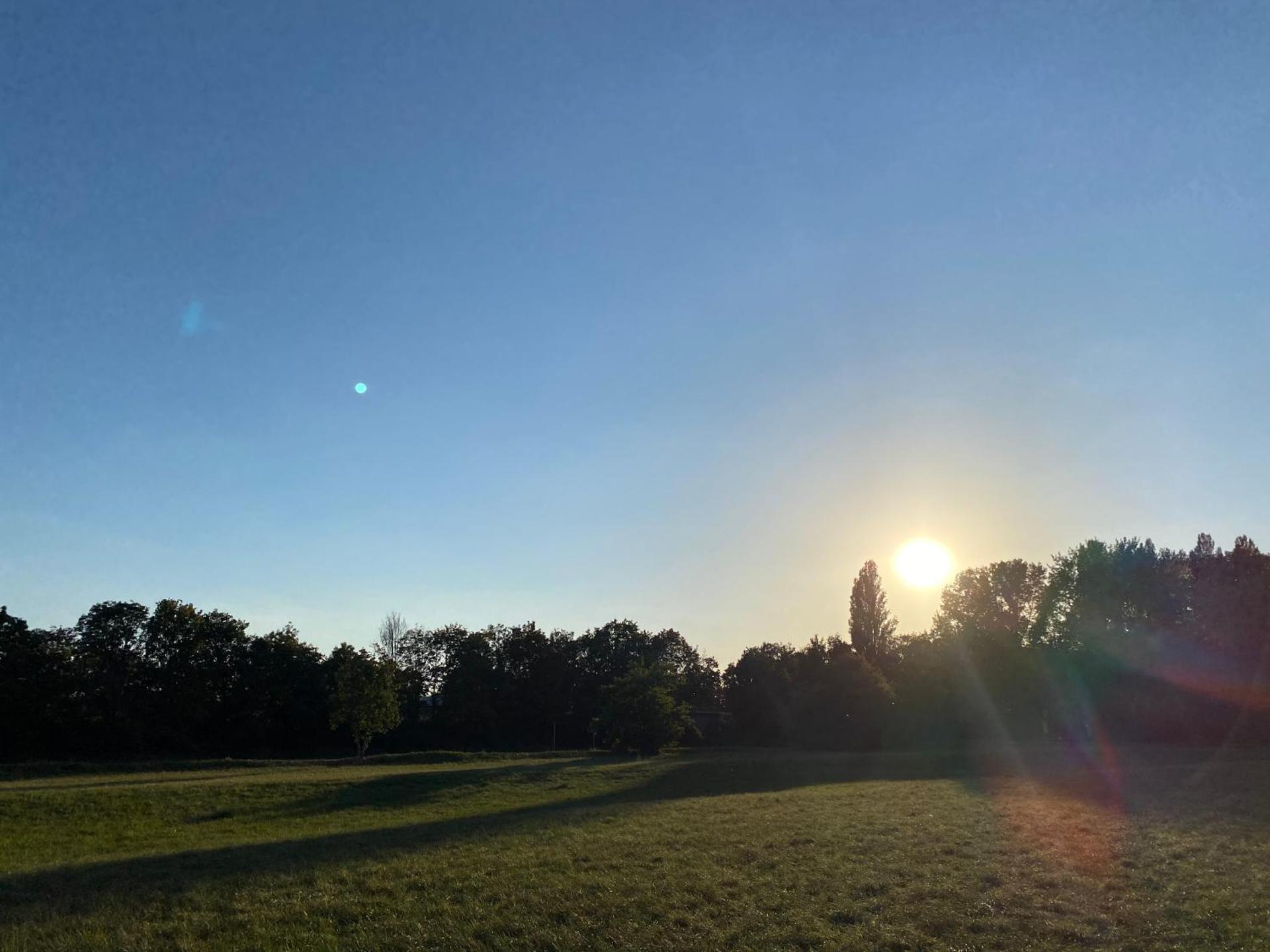 Kleine Pfalz-Perle Birkenweg