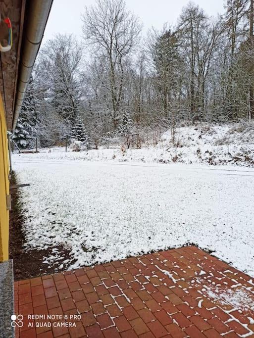 Gemütliches Ferienhaus im Harz direkt am Waldrand