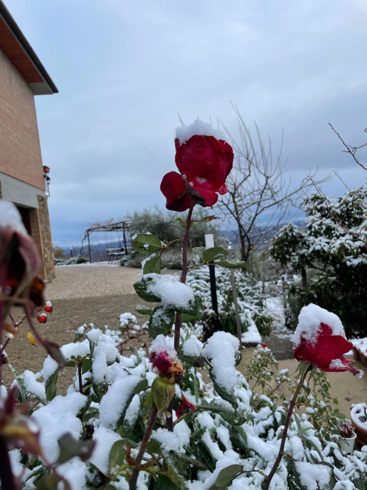 Podere Belsogno-Camera rosmarino