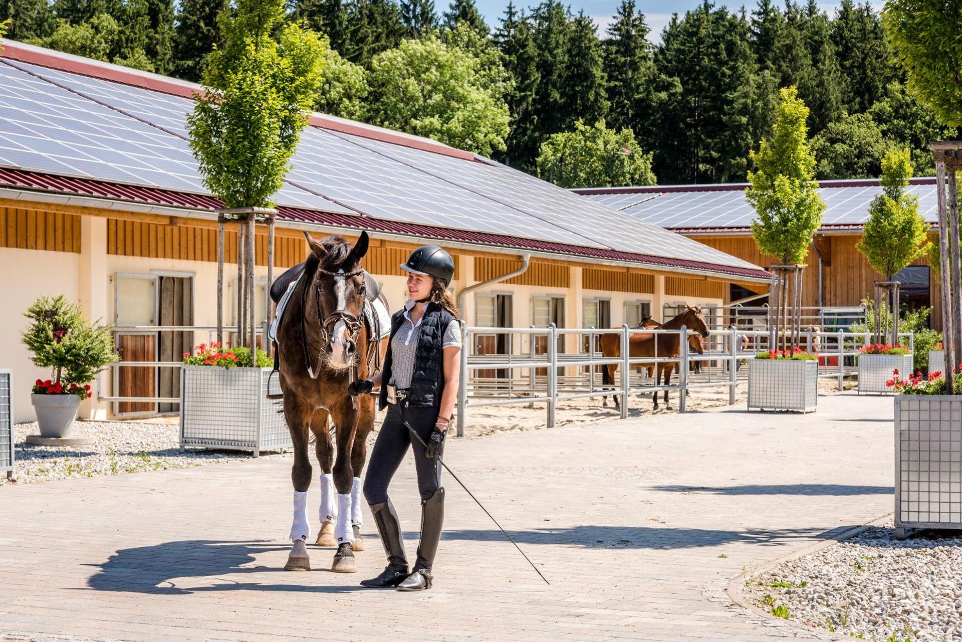 Ferienwohnungen Gut Fasanenhöhe