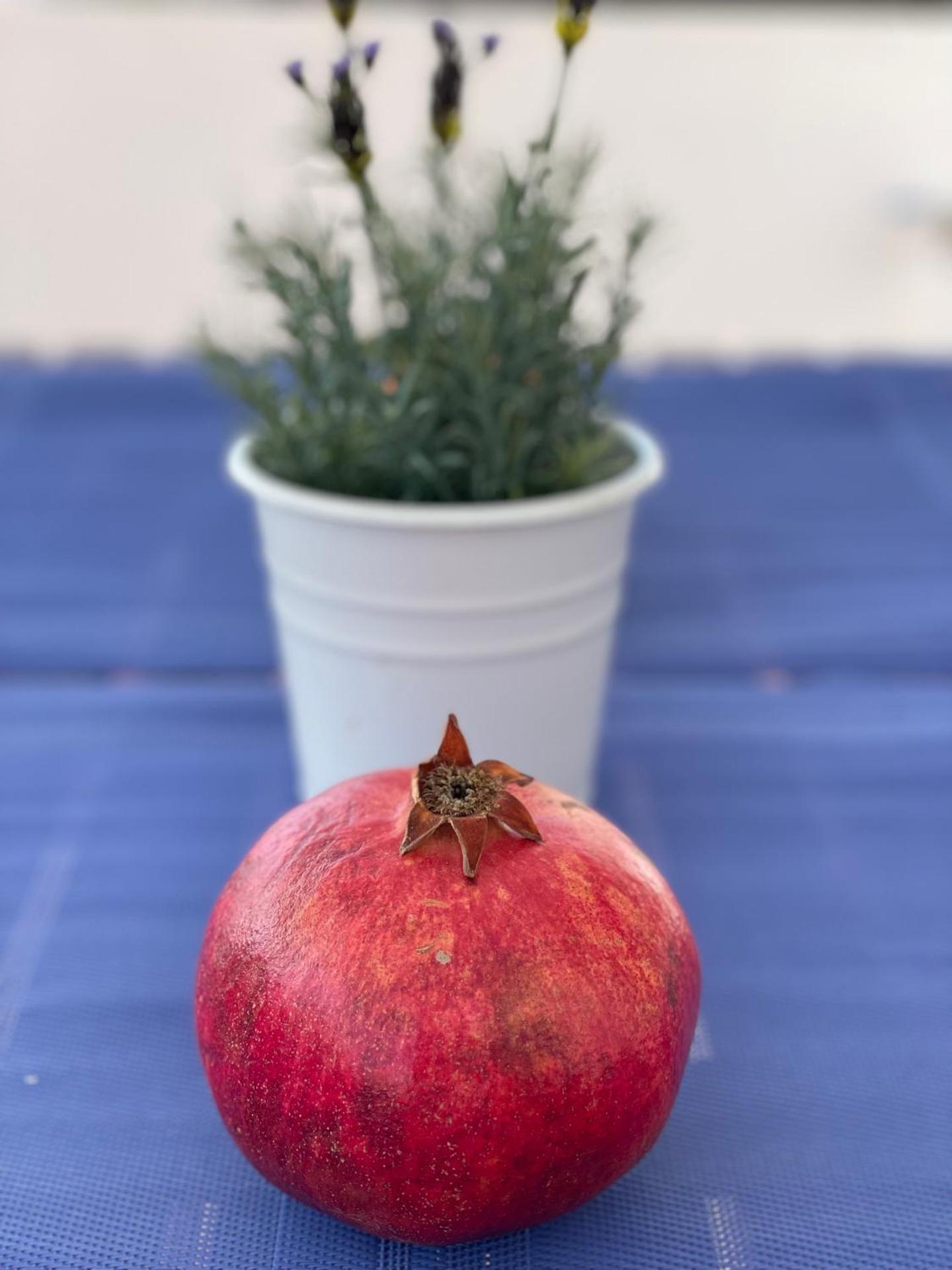 Sunny Apartment Central Sitges
