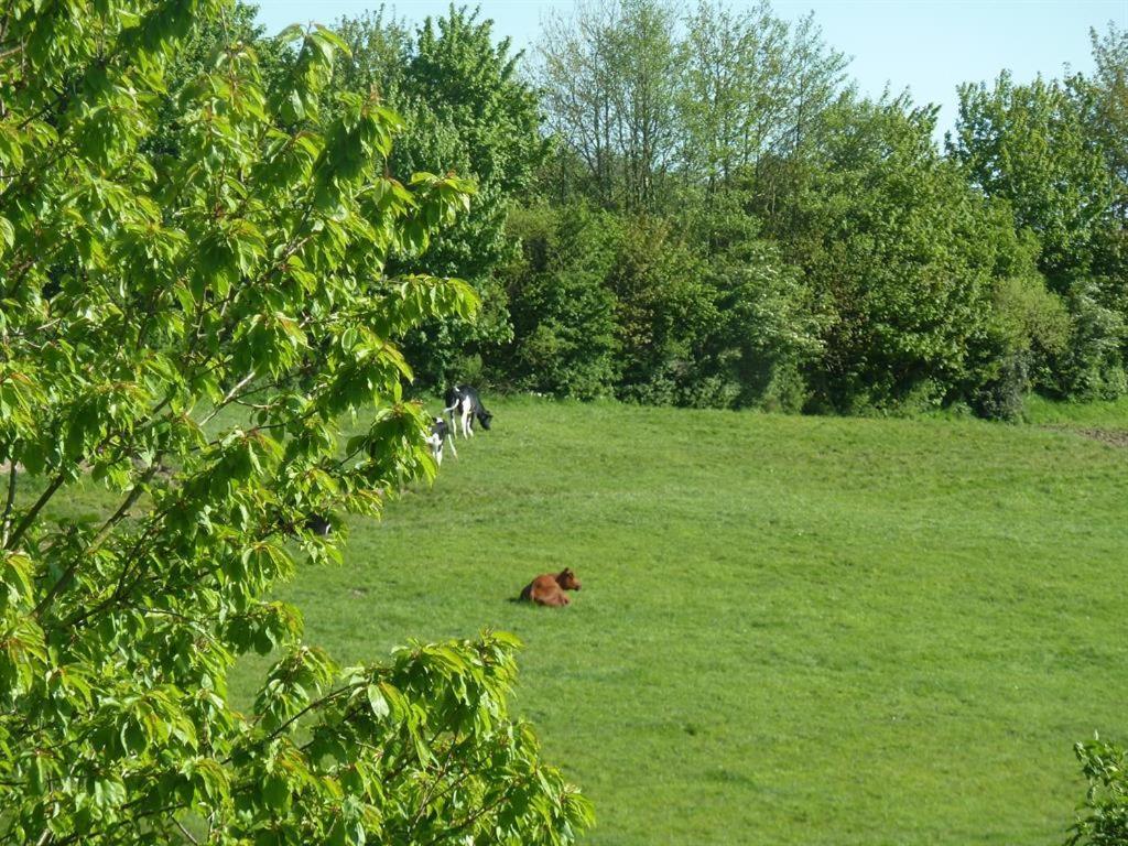 Two-Bedroom Apartment with Shower 