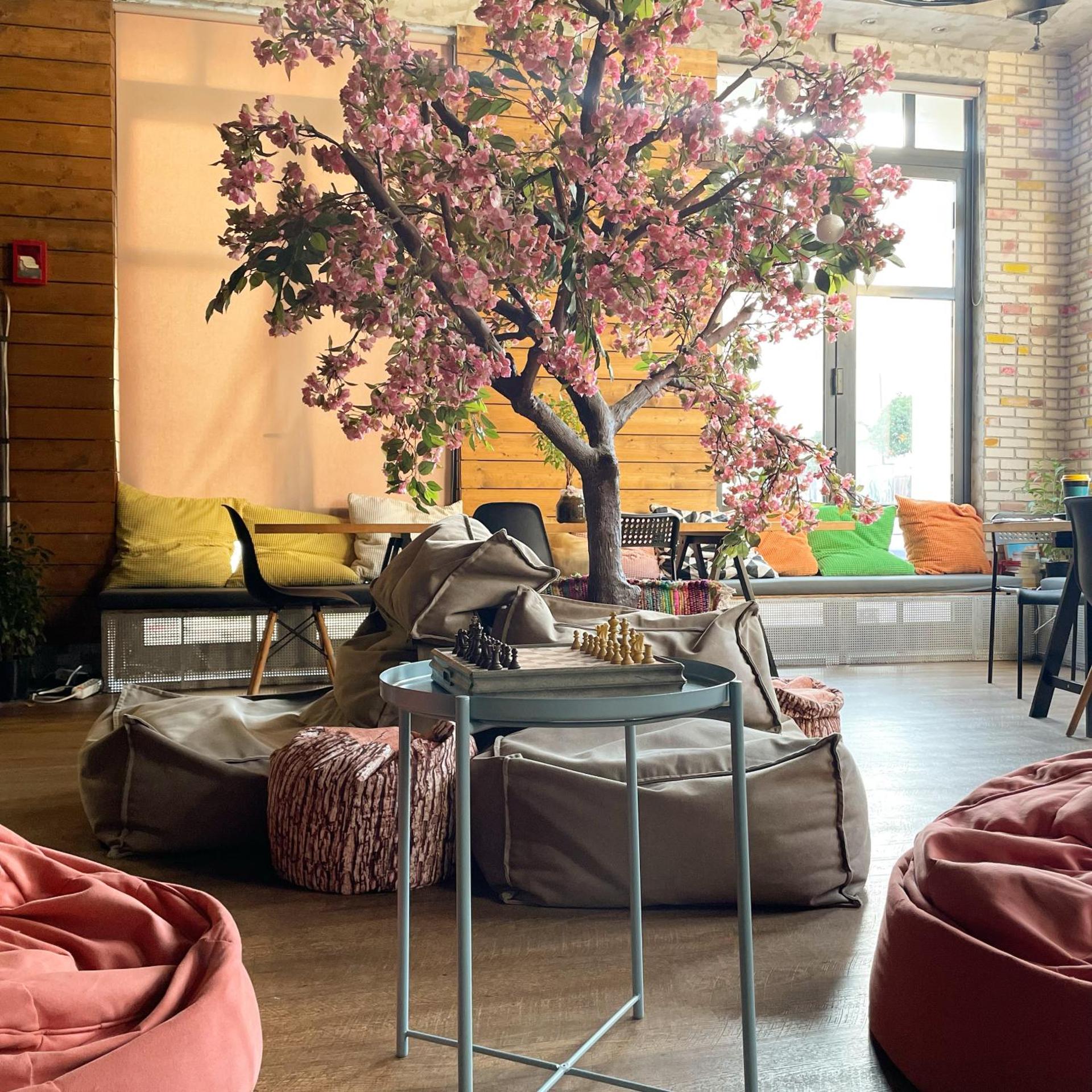 Communal lounge/ TV room