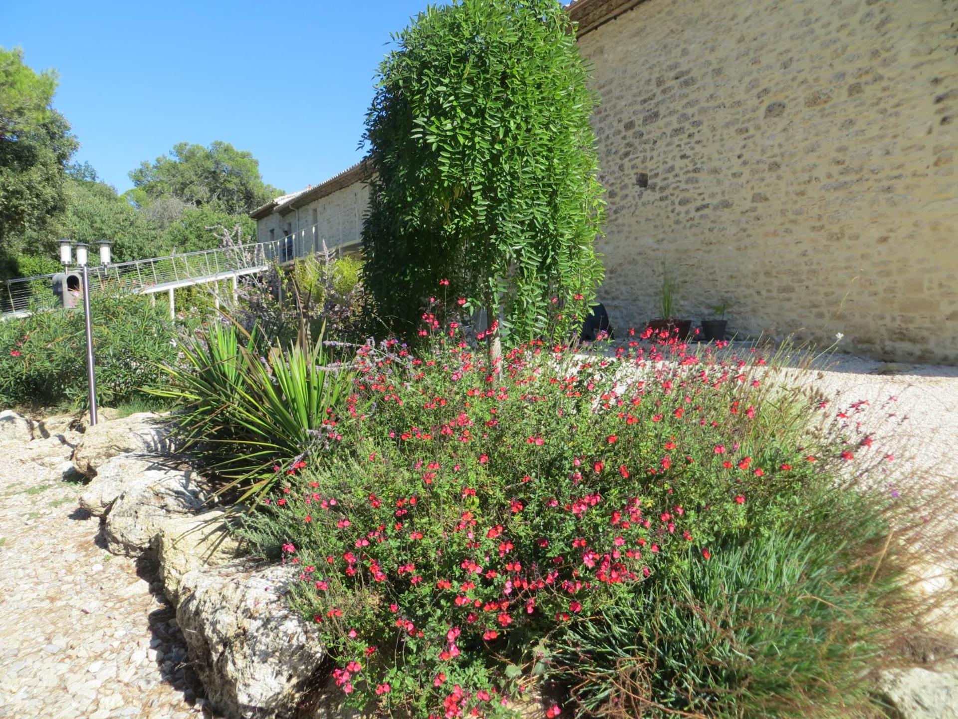 Les Studios-Hôtel de Sommières