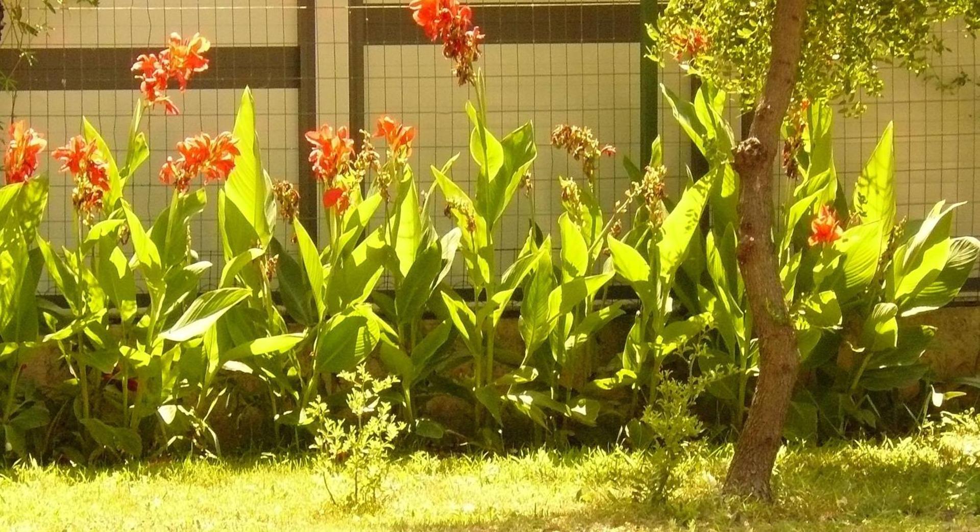 Trogirsunset Apartments - since 2000