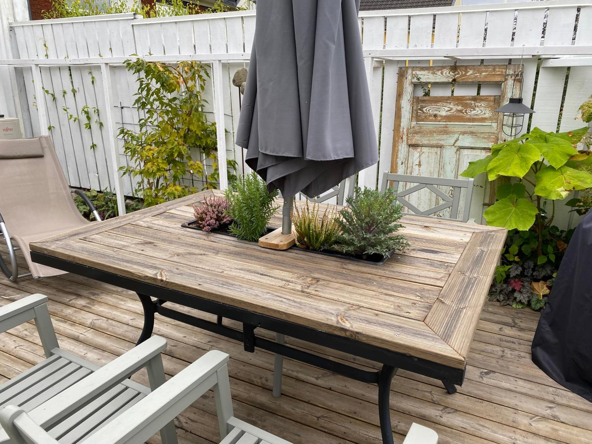 B&B Bland ormbunkar och rosor