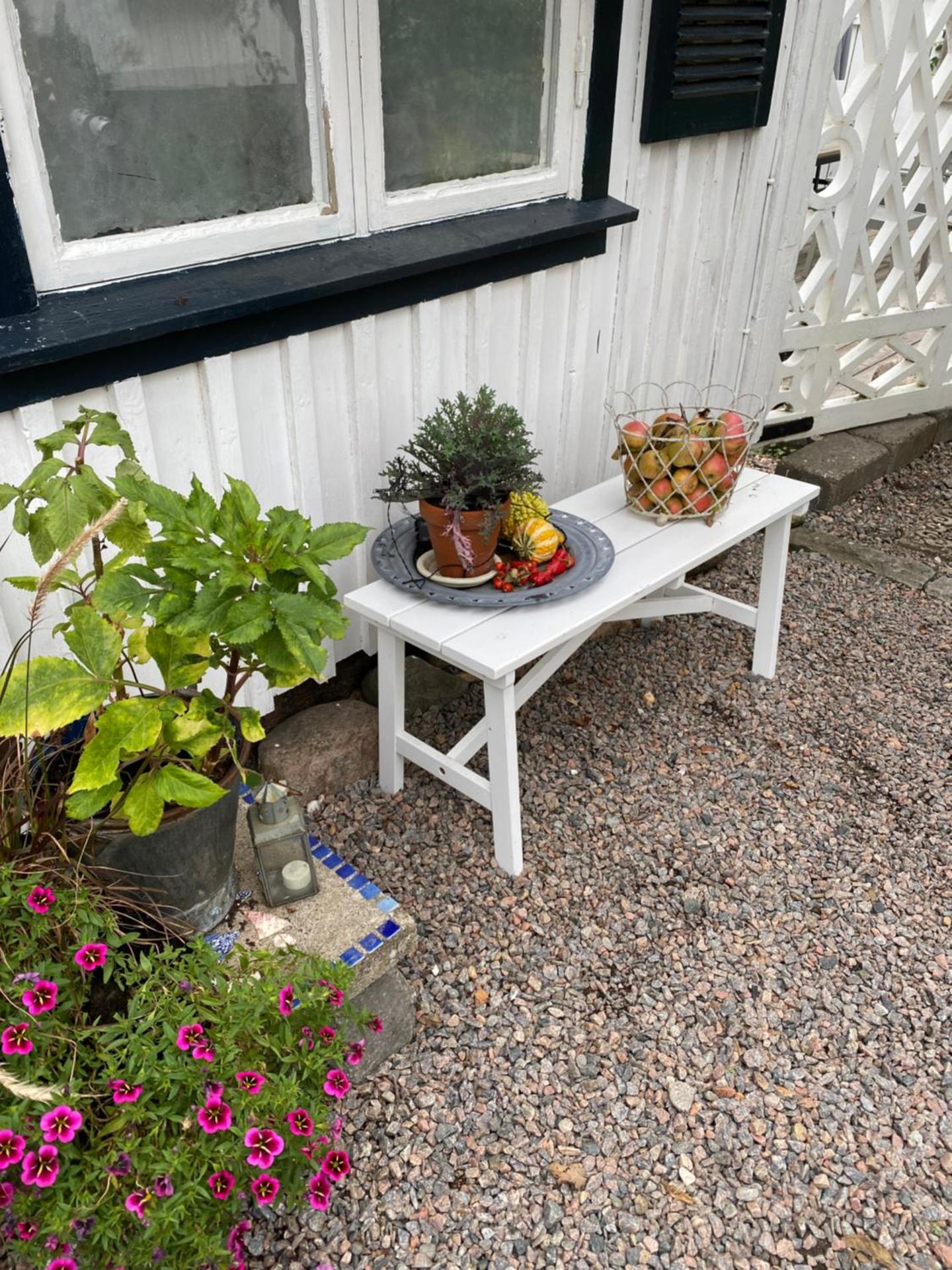 B&B Bland ormbunkar och rosor