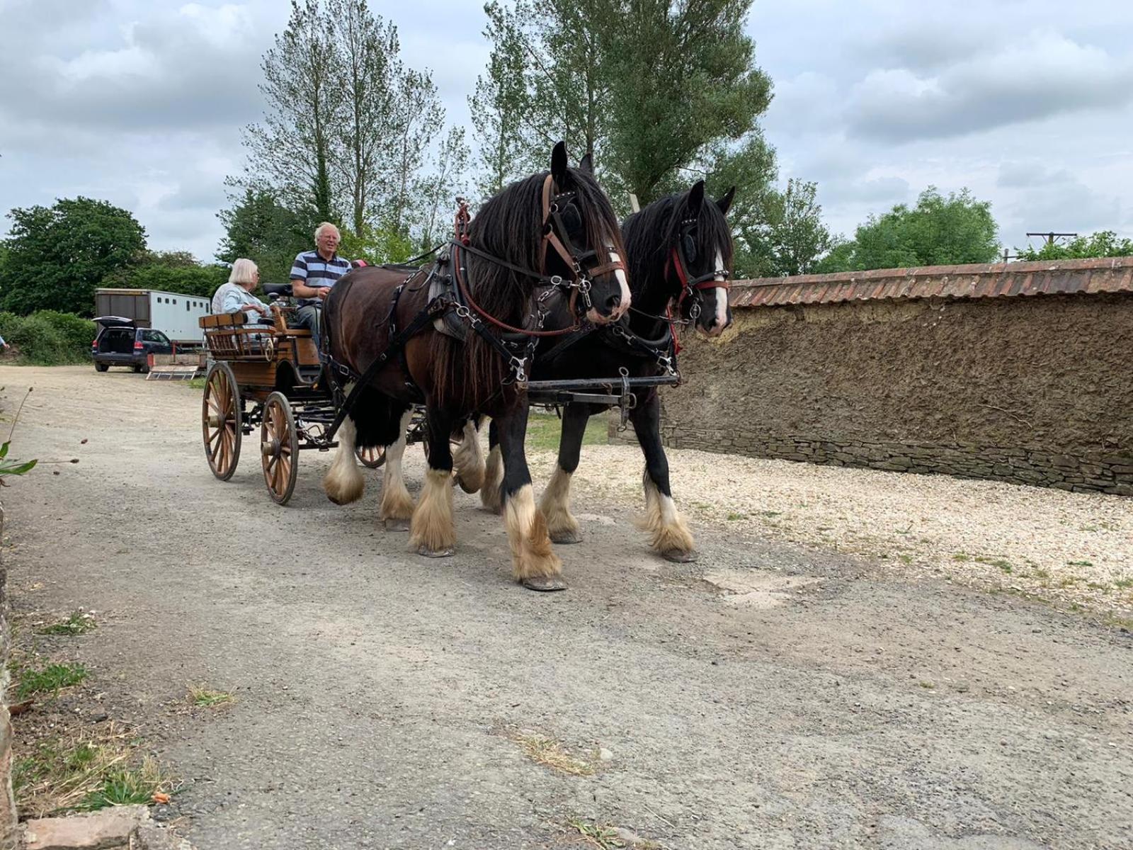 Higher Biddacott Farm