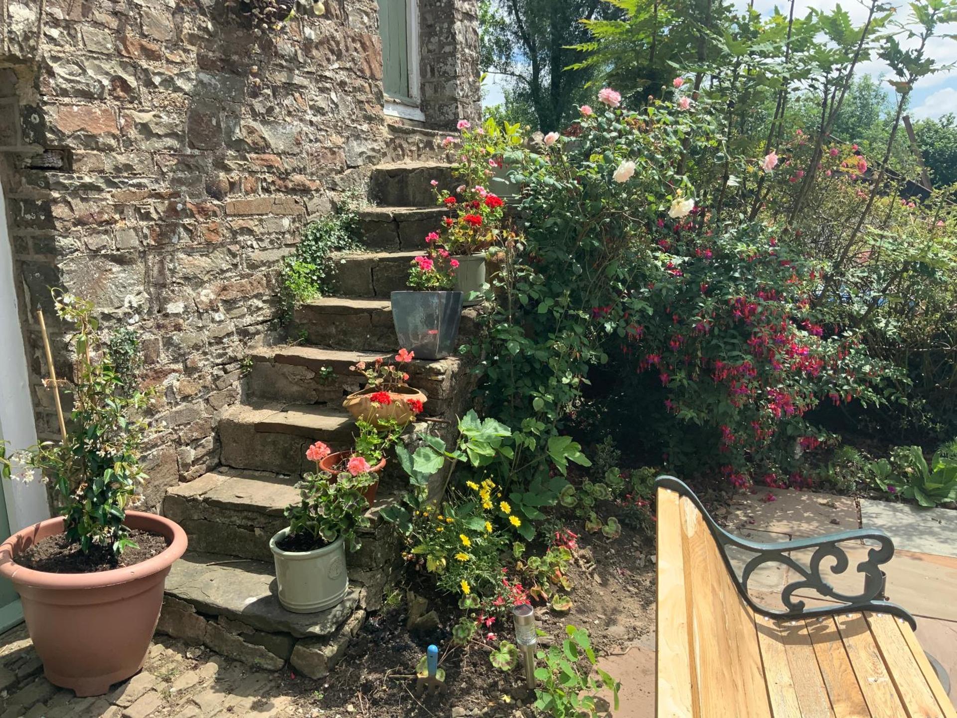 Higher Biddacott Farm