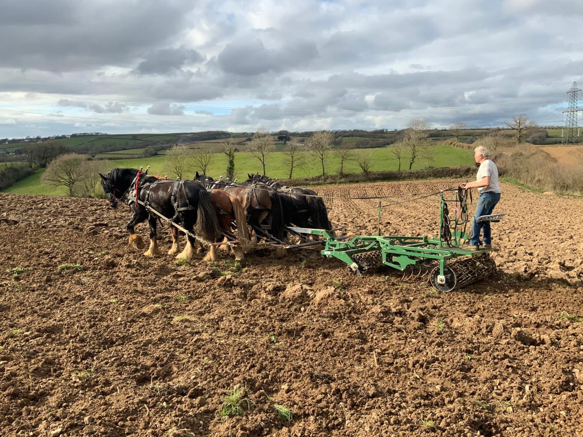 Higher Biddacott Farm