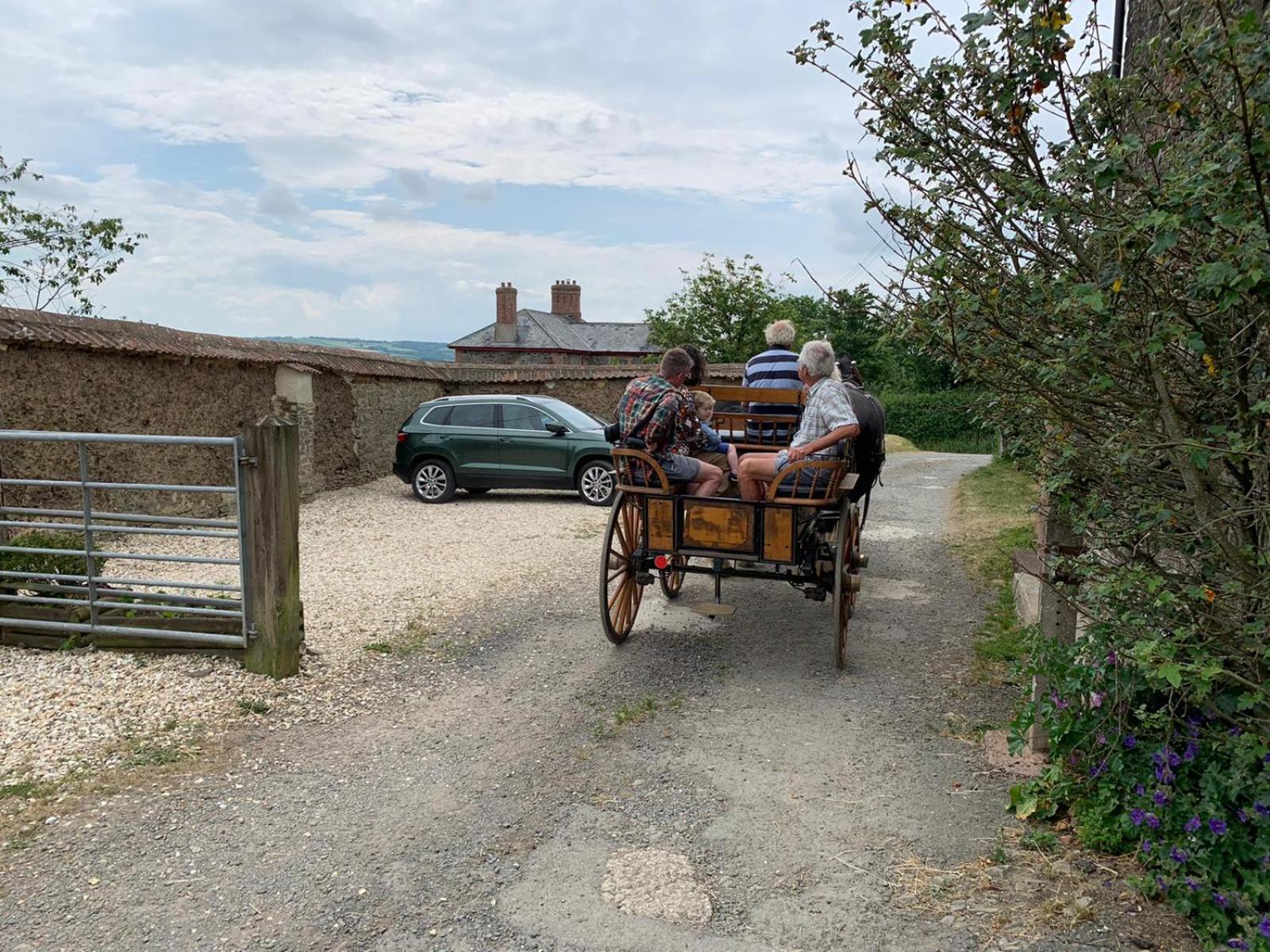 Higher Biddacott Farm