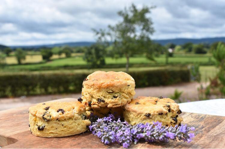 Higher Biddacott Farm