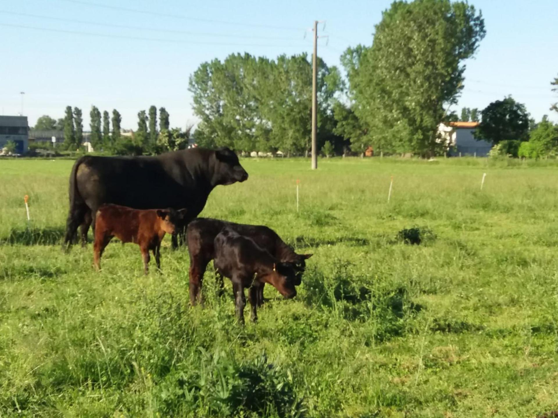 Agriturismo Cascina Pezzolo