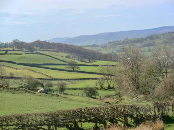 Ghyll Bank Cow Shed