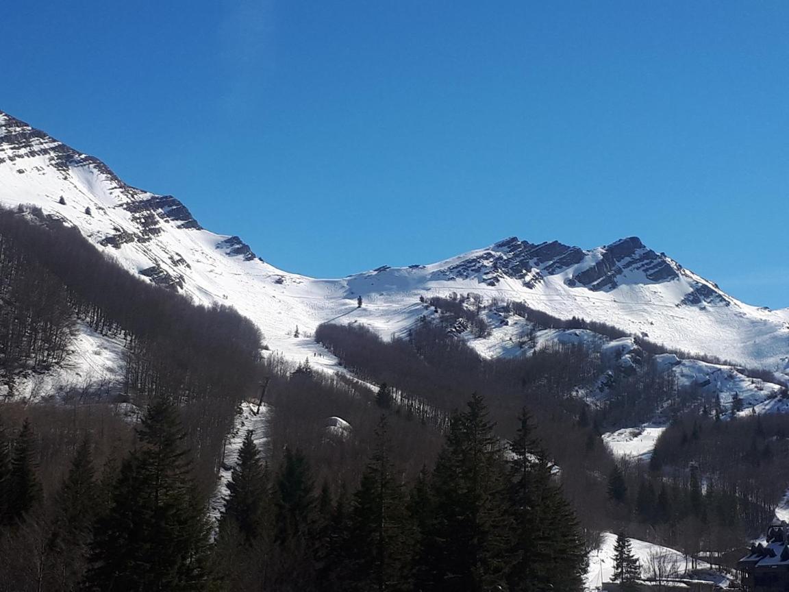 Appartamento Flora - Val di Luce