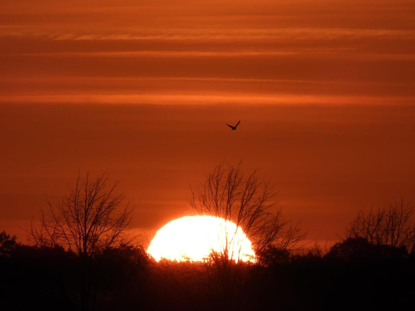 B&B de Blauwververij