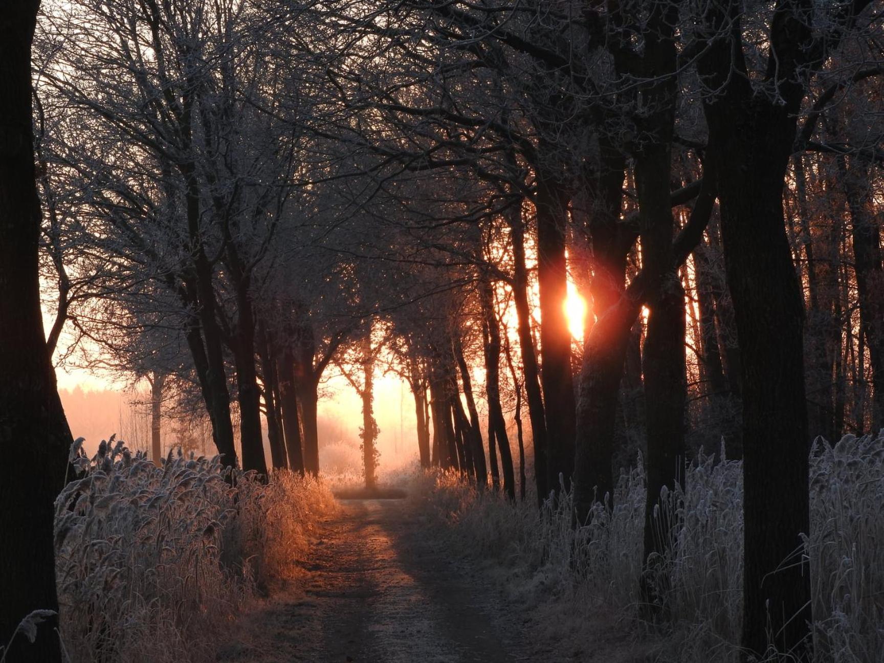 B&B de Blauwververij