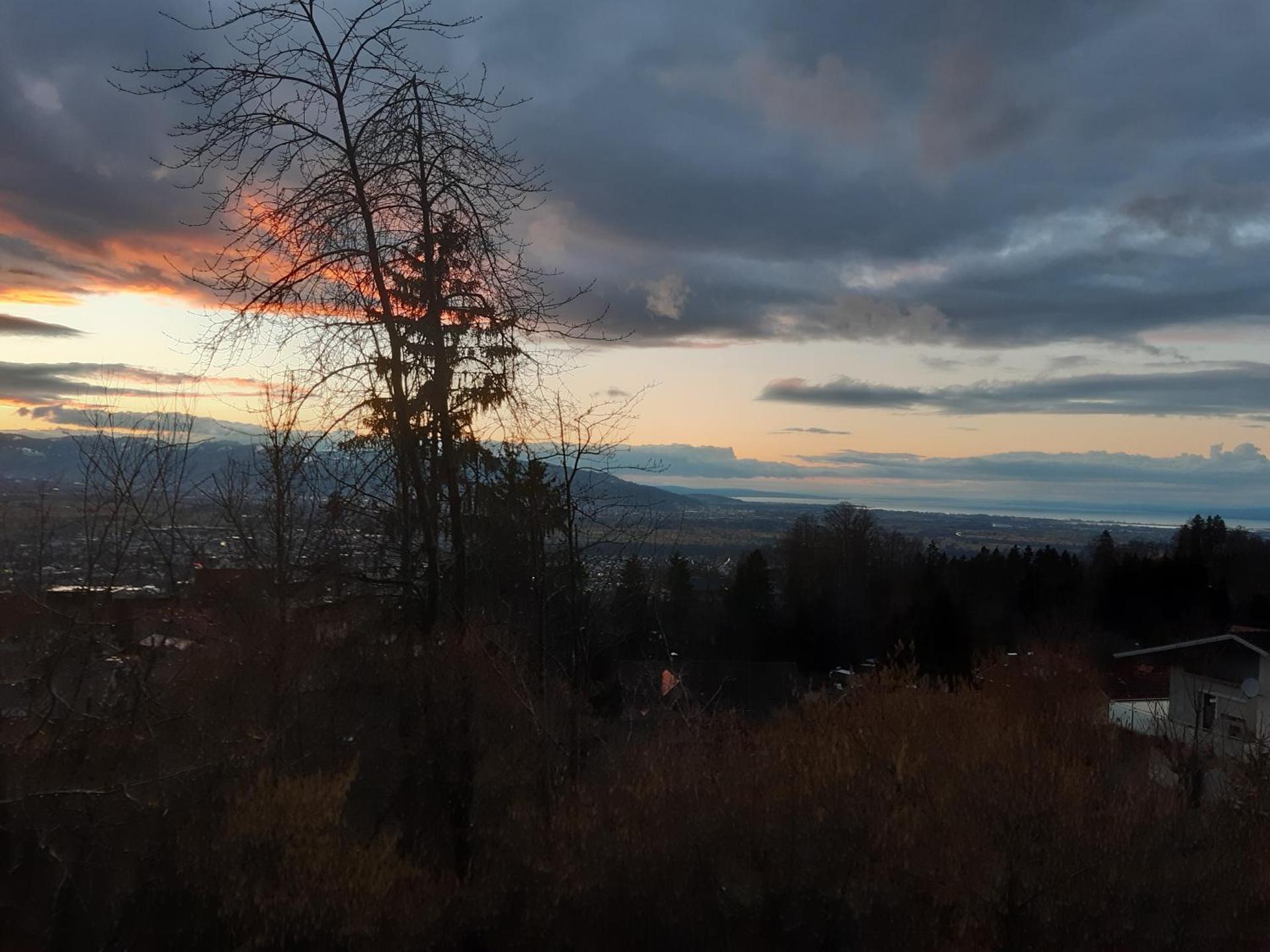 Ferienwohnung Bodenseeblick